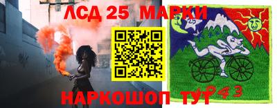 индика Мариинск
