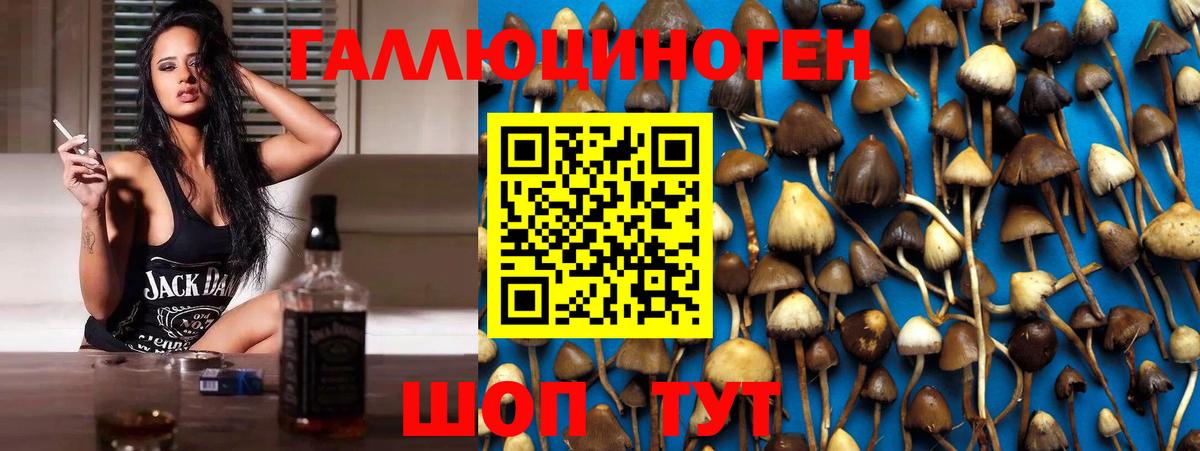 Галлюциногенные грибы прущие грибы  продажа наркотиков  Шарыпово  Вход с VPN 